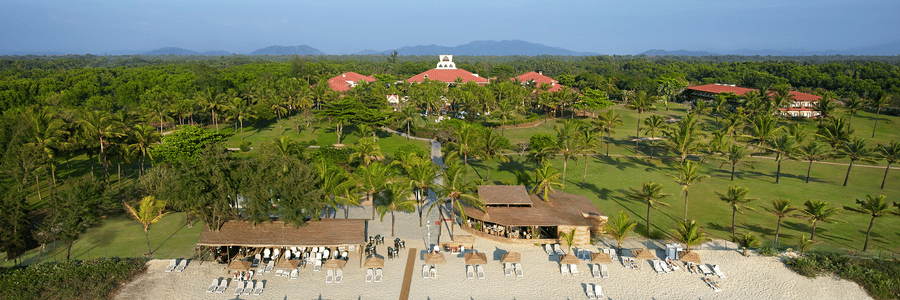 Beachfront resort with loungers, palm trees, and scenic ocean views